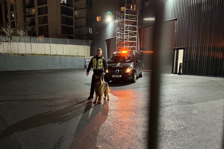 dog-handler-service-img
